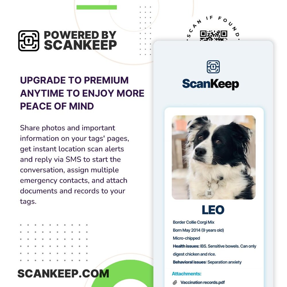 Personalized Bone Pet Tag,Engraved Pet's Name Tag and QR Code Powered By ScanKee - Picture 6 of 11